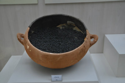 DSC_0756.jpg