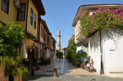 DSC_5193.jpg