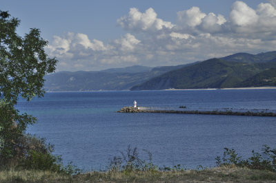 _DSC8503.jpg