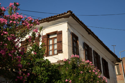 DSC_9788.jpg