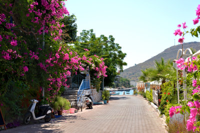 DSC_7737.jpg