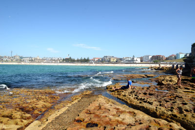 DSC_8456.jpg