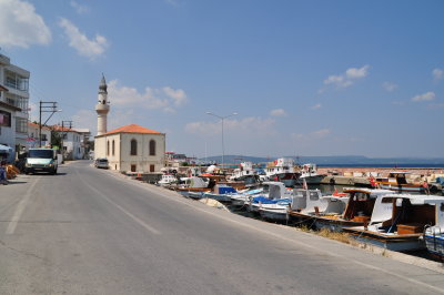 DSC_0499.JPG