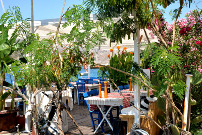 DSC_7778.jpg