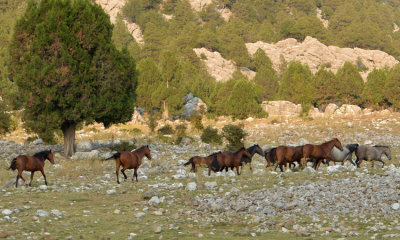 DSC_0963.jpg