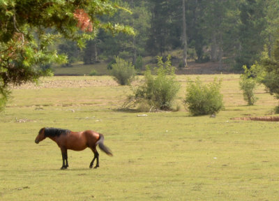 DSC_1353.jpg