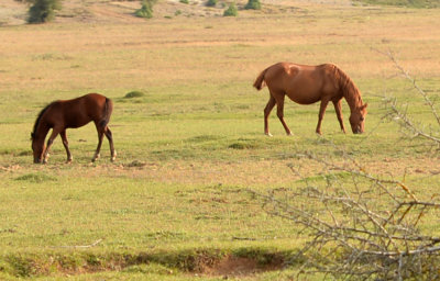DSC_1477.jpg