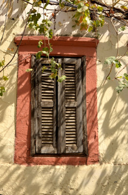 DSC_5016.jpg