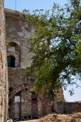 DSC_0543.jpg