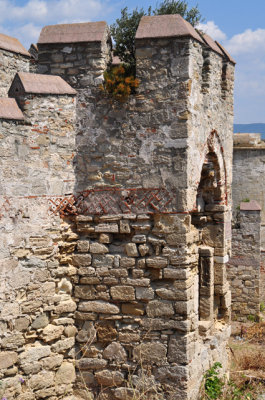 DSC_0612.jpg