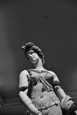 DSC_4741.jpg