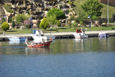 _DSC8535.JPG