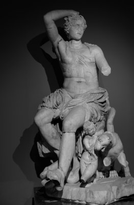 DSC_4861.jpg