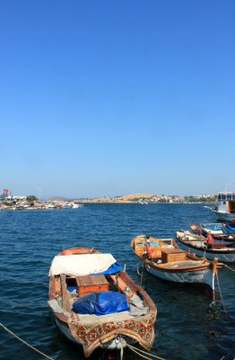 IMG_8465.jpg