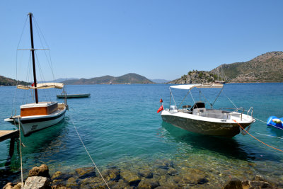 DSC_7771.JPG