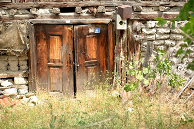 DSC_0364.jpg