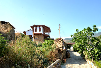 DSC_7849.JPG