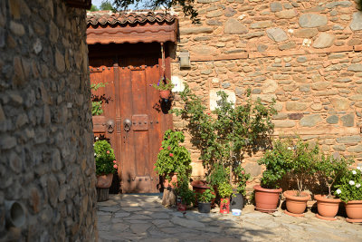 DSC_7865.JPG