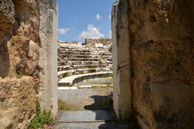 DSC_3335.jpg