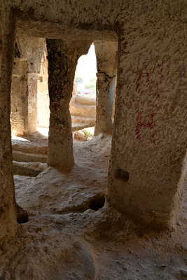 DSC_3676.jpg