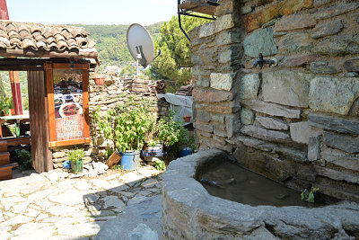 DSC_9589.JPG