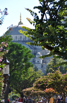 DSC_0494.JPG