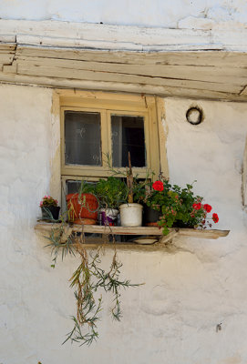 DSC_8579.jpg