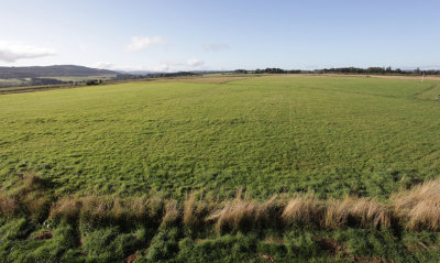 Culloden, Scotland IMG_9972_s.jpg