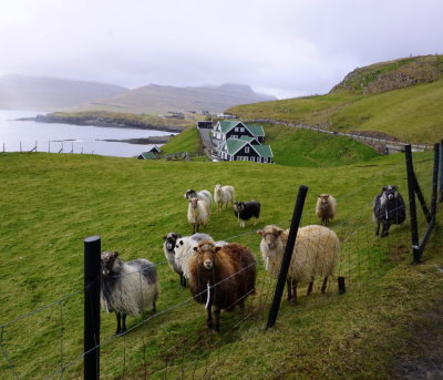 Fr Suurey / From South island