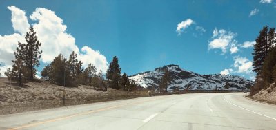 IMG_0906.jpg