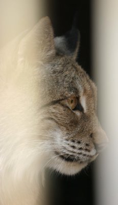 IMG_1884.JPG