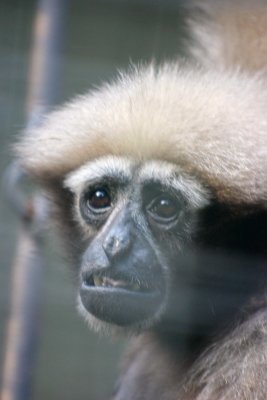 IMG_2843.JPG