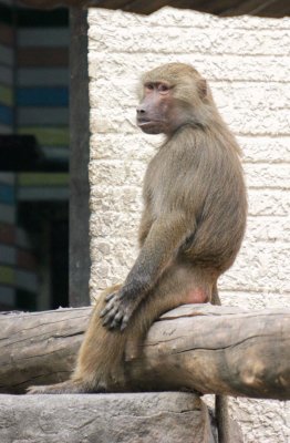 IMG_2887.JPG