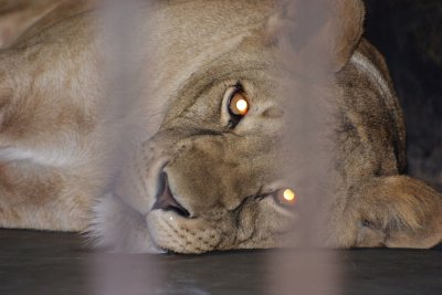 IMG_2996.JPG