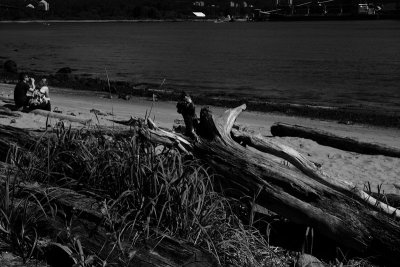 Canada Day - Stanley Park