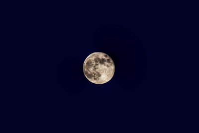 Flower Moon
