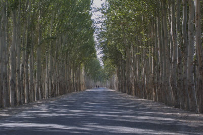 Yarkand, Xinjiang Province, China