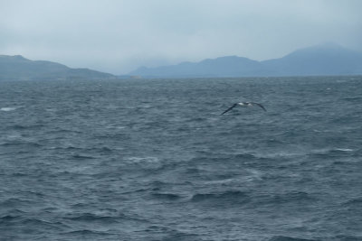 Strait of Magellan, Patagonia, Argentina