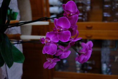 DSCF4171.JPG