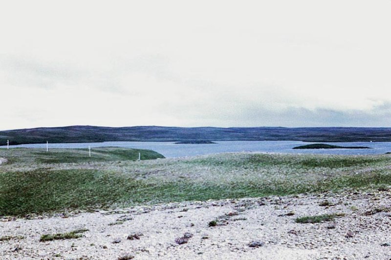 Blinn Lake and Bear Story