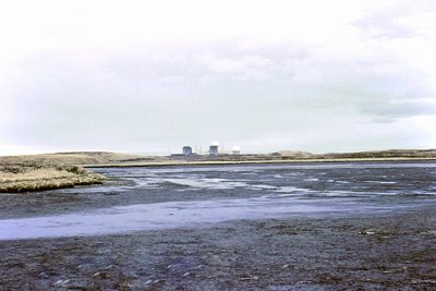 Low Tide and Muck