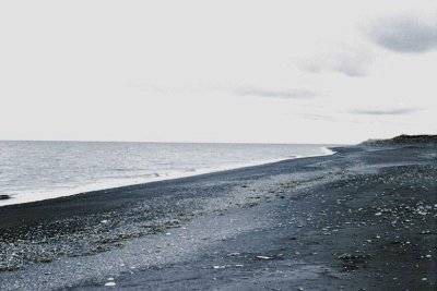 Beach Exploration