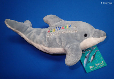Sea World Dolphin