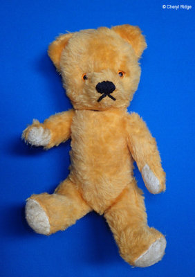 P6100995 vintage bear