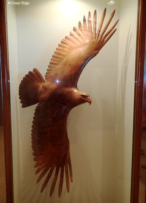 P1250120-windjammer.jpg