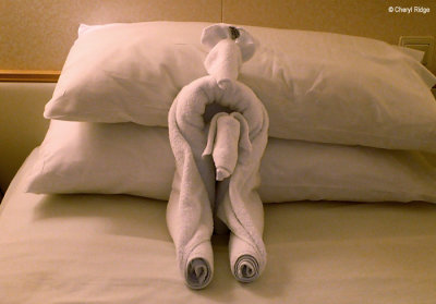 P1260024-towel-animal.jpg