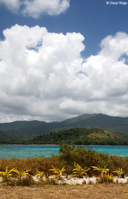 4463b-mystery-island.jpg