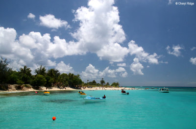 4481-mystery-island.jpg