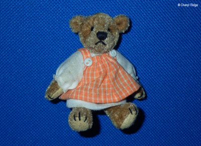 World of Miniature Bears - bear in orange dress