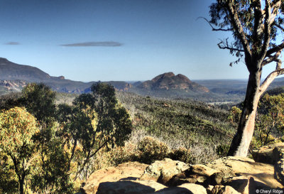 P7220970-warrumbungle-NP.jpg